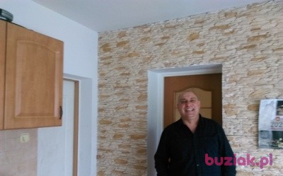 romek, Mężczyzna, 51, Dzierżoniów, Polska: 1