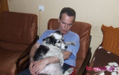 Andrzej, Male, 69, Łódź, Polska: 1