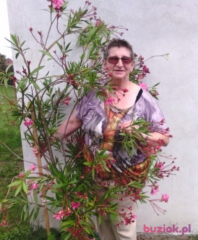 Zenobia, Female, 77, Żychlin, Polska: 1