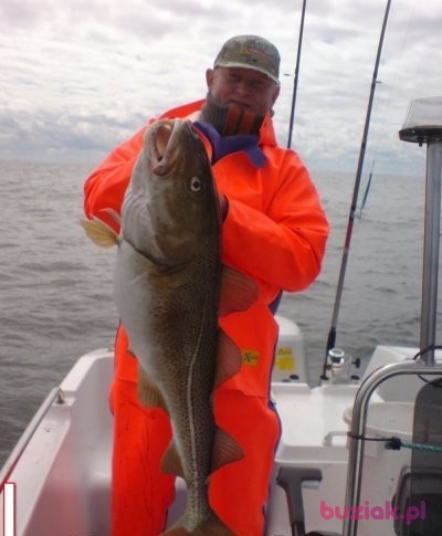 leszek, Mężczyzna, 50, Chojnice, Polska, Zdjęcie: 1