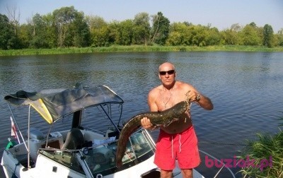 piotr, Male, 65, Warszawa, Polska, Photo: 3