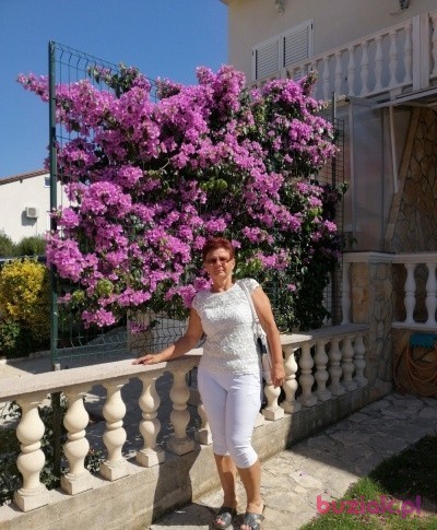 Elżbieta , Kobieta, 66, Chrzanów, Polska: 1