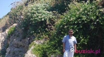 Wojciech, Male, 54, Mikołów, Polska, Photo: 3