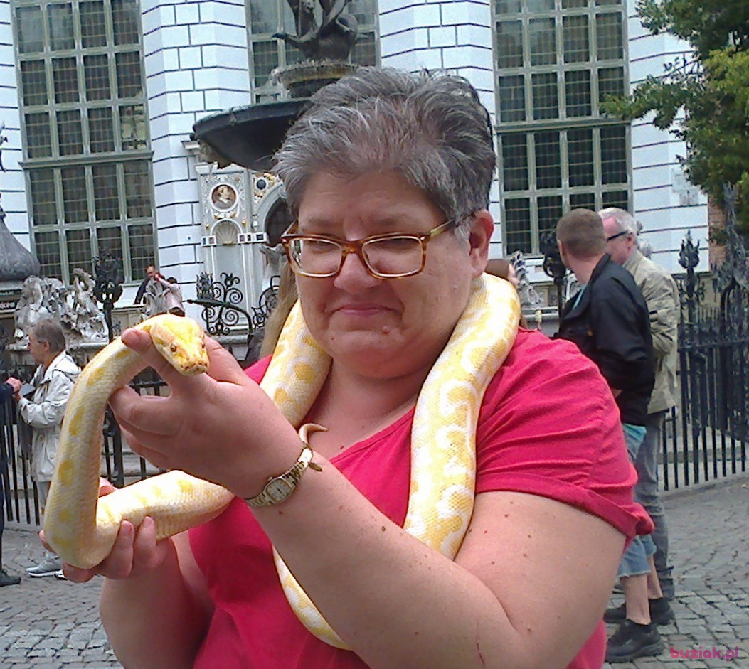 Izabela, Kobieta, 57, Gliwice, Polska, Zdjęcie: 2