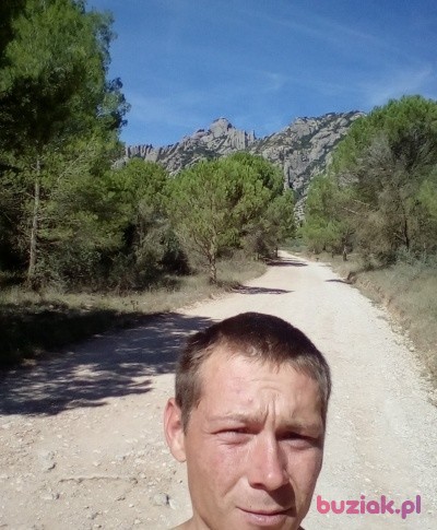 grzesiek, Mężczyzna, 38, Wrocław, Polska, Zdjęcie: 1