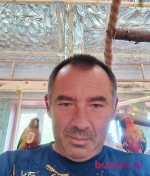 Andrzej , Mężczyzna, 54, Częstochowa, Polska: 1