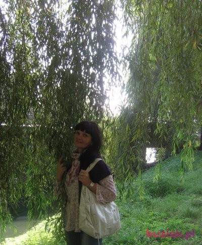 MILUSIA44, Female, 56, Sosnowiec, Polska: 1