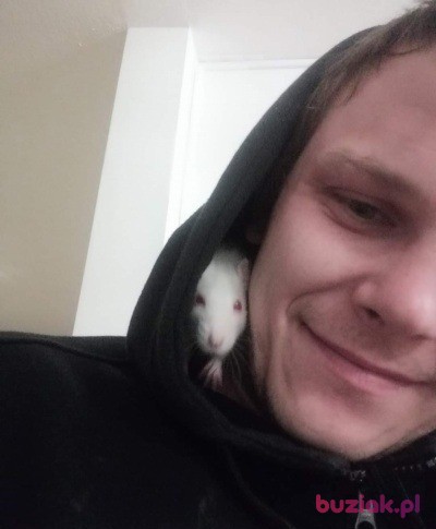 Piotr, Male, 31, Szwecja, Photo: 7