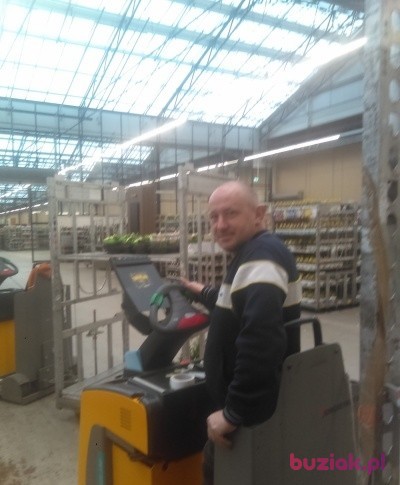 łukasz, Male, 42, Holandia, Photo: 1