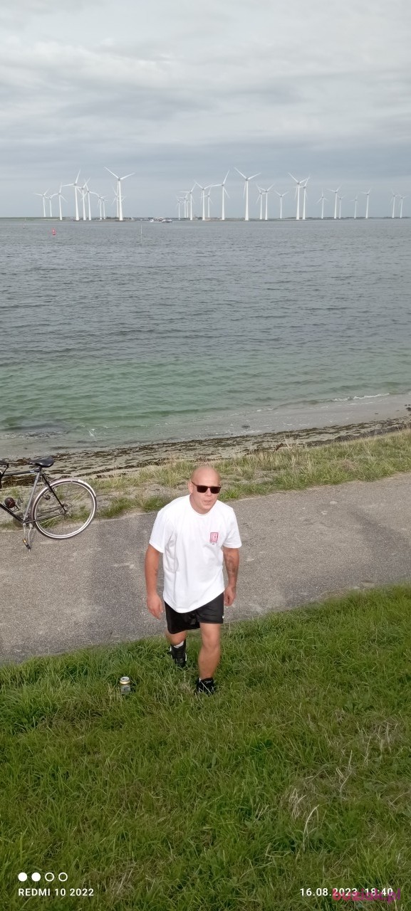 Daniel, Male, 33, Haga, Holandia, Photo: 3