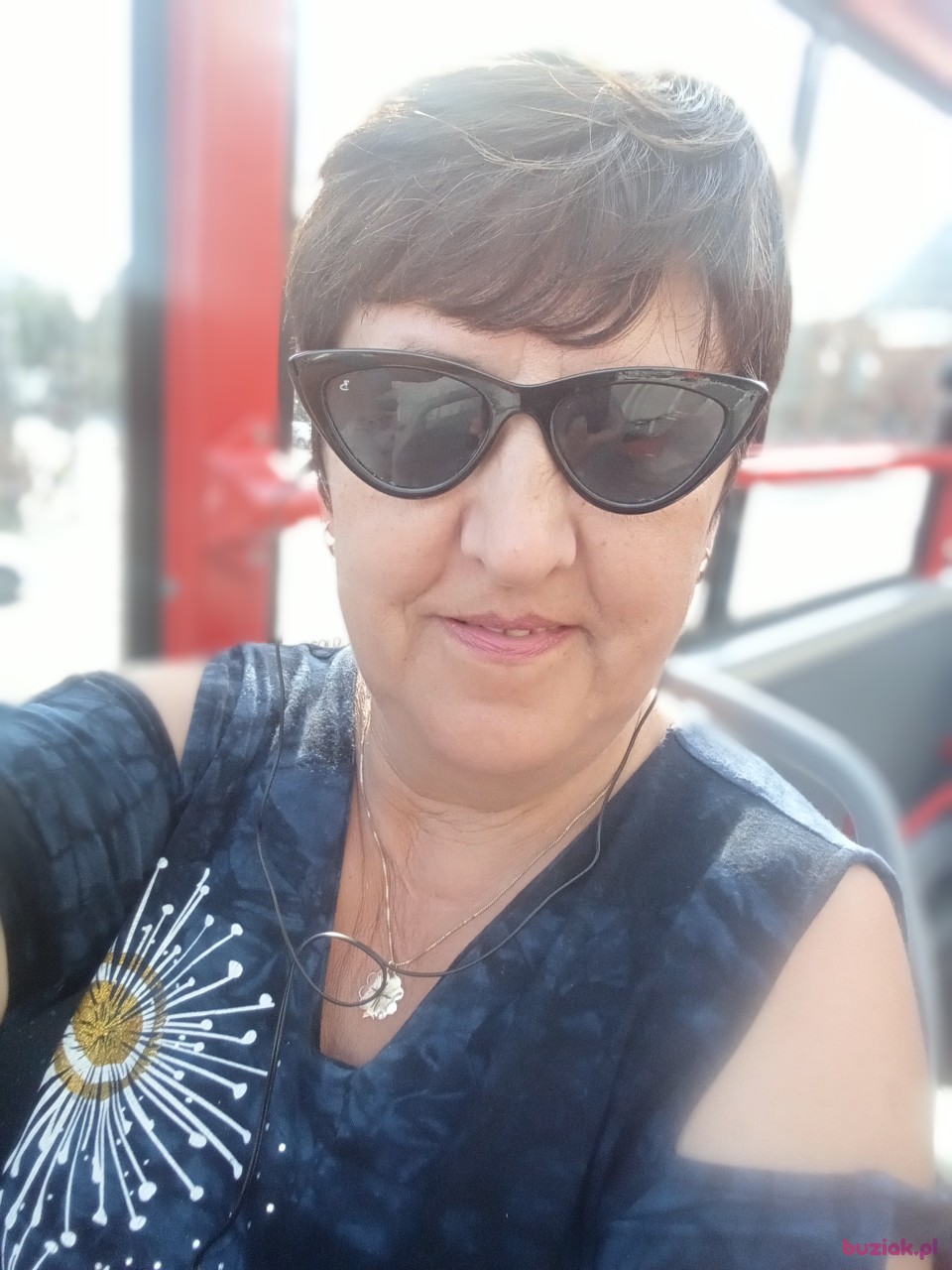 Dorota, Kobieta, 57, Bydgoszcz, Polska, Zdjęcie: 1