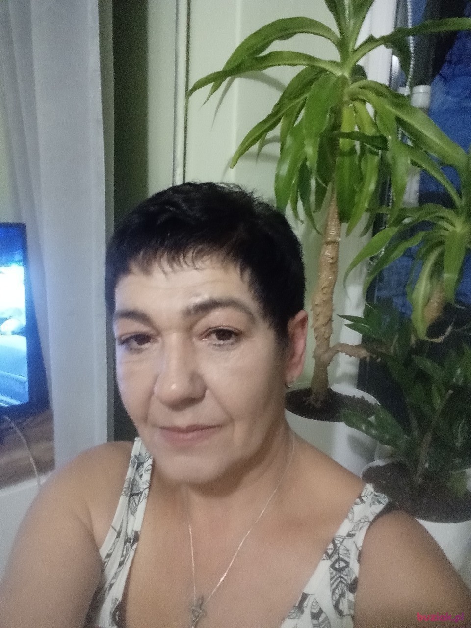 Elżbieta, Kobieta, 51, Rzeszów, Polska, Zdjęcie: 1