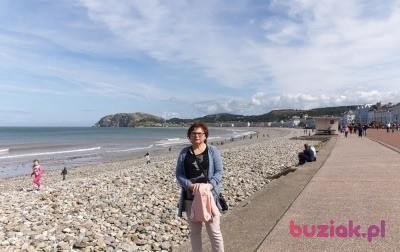 Grażyna, Female, 64, Elbląg, Polska, Photo: 4