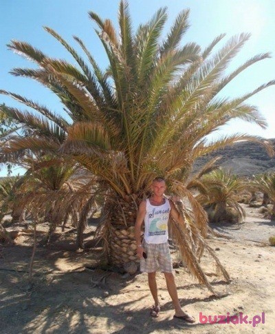 mateusz, Male, 38, Nowogrodziec, Polska, Photo: 2