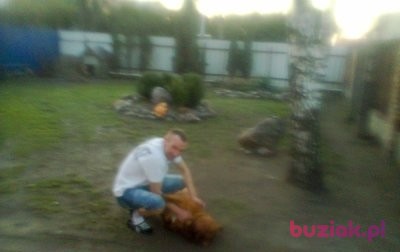 rafal, Mężczyzna, 52, Warszawa, Polska, Zdjęcie: 2