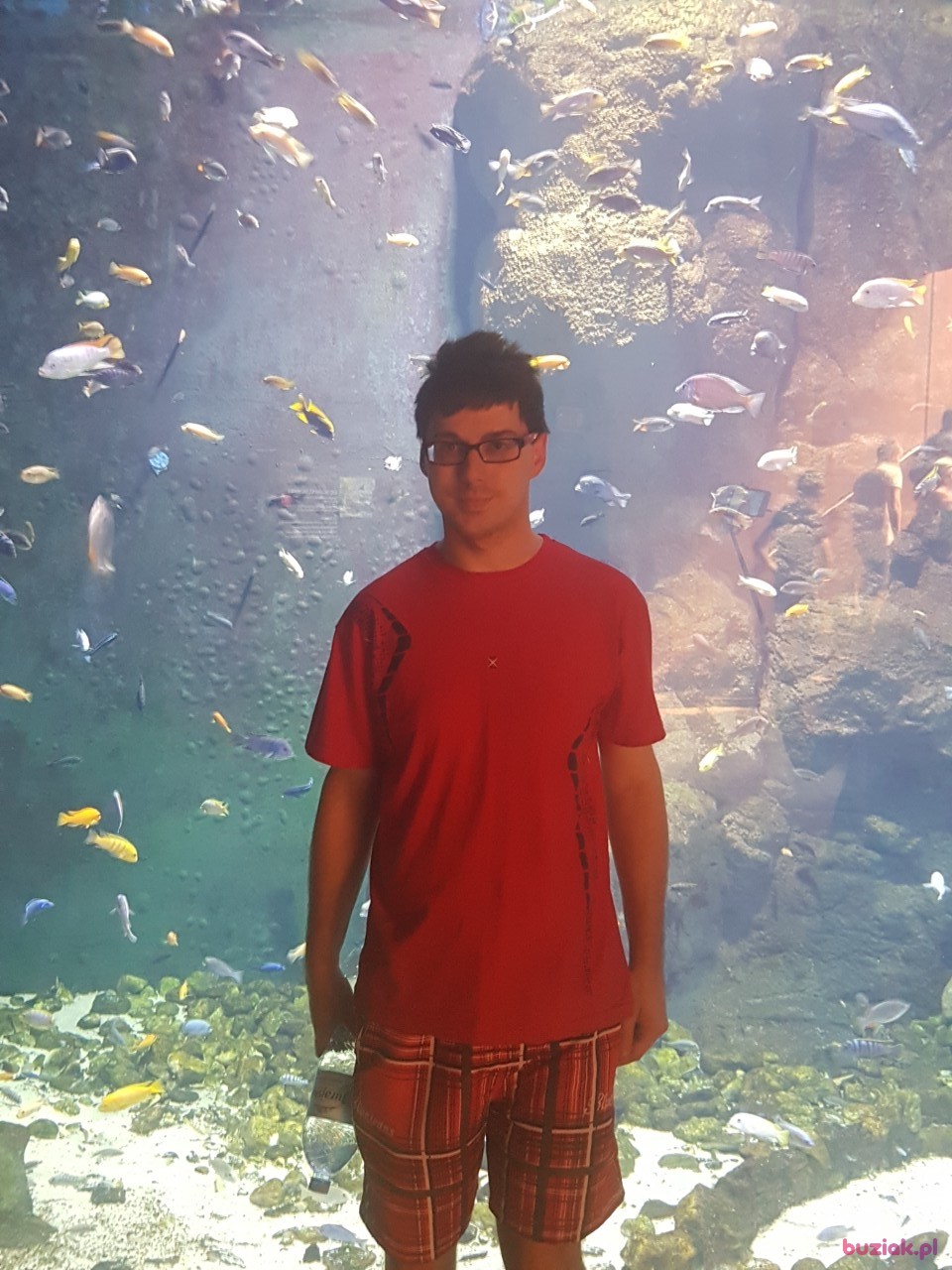 Gerard, Male, 39, Wieruszów, Polska, Photo: 4