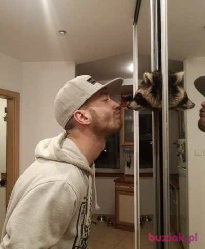 Dawid, Mężczyzna, 31, Frankfurt, Niemcy, Zdjęcie: 3