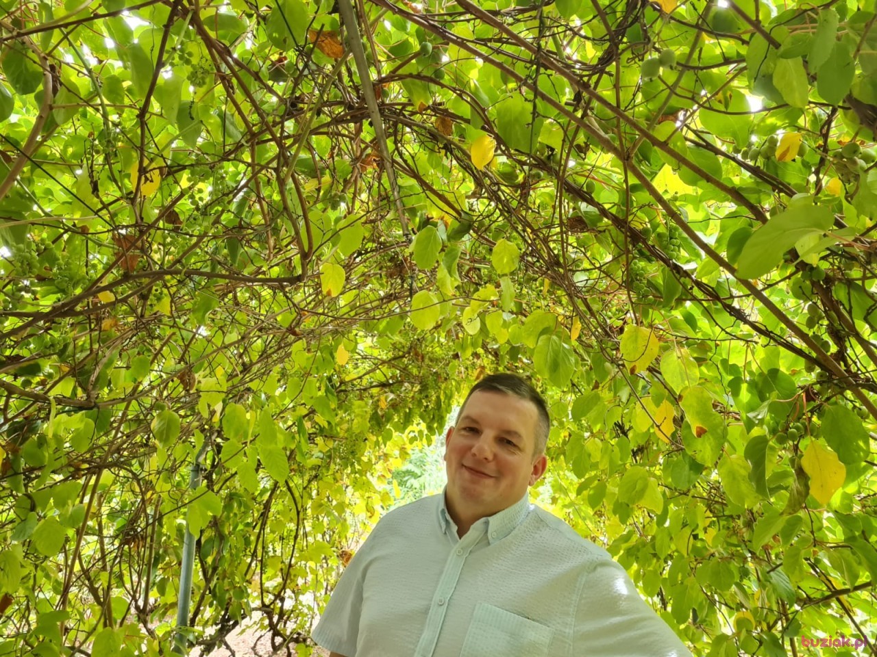 wojtek, Male, 44, Wrocław, Polska, Photo: 1