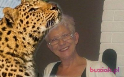 Bozenab, Kobieta, 67, Chojnice, Polska: 1