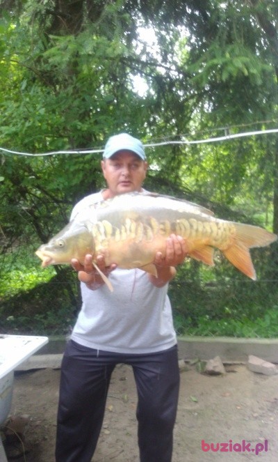 Darek, Male, 47, Chełm, Polska: 1