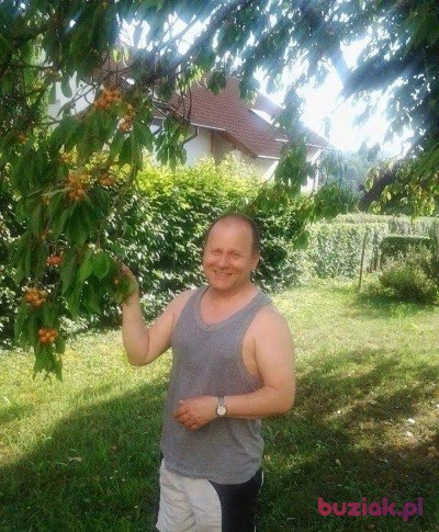 Henry1, Male, 59, Heilbronn, Niemcy, Photo: 2