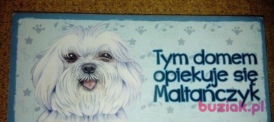 wieslaw, Mężczyzna, 59, Wejherowo, Polska, Zdjęcie: 7