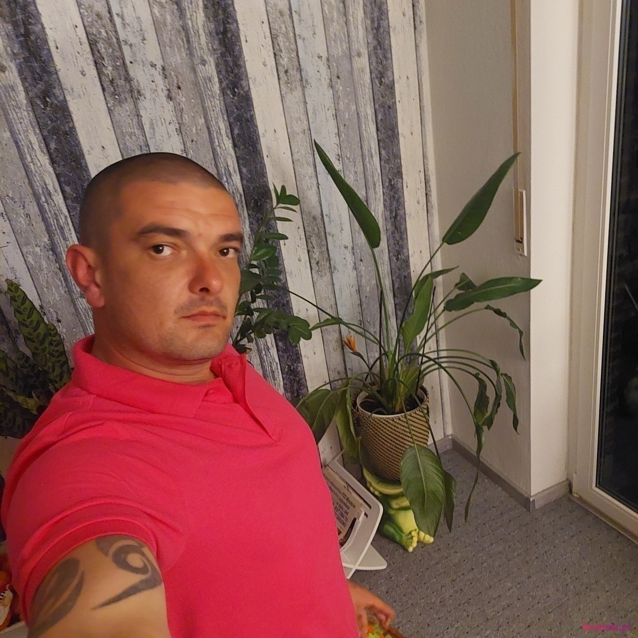 Kamil, Mężczyzna, 36, Amersfoort, Holandia, Zdjęcie: 1