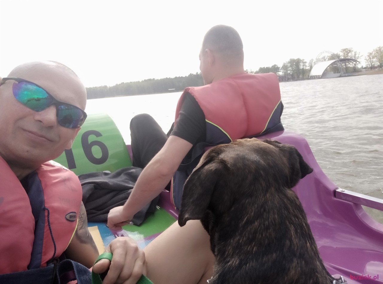 Cezary, Mężczyzna, 52, Warszawa, Polska, Zdjęcie: 5