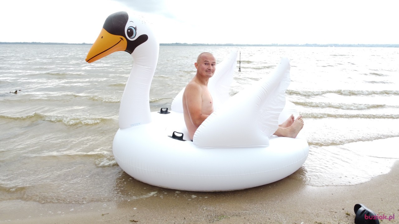 Michał, Mężczyzna, 36, Zgierz, Polska, Zdjęcie: 564