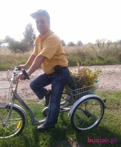 Stanisław, Male, 61, Chełm, Polska, Photo: 6