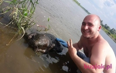 VERGIN, Mężczyzna, 32, Niemcy: 1