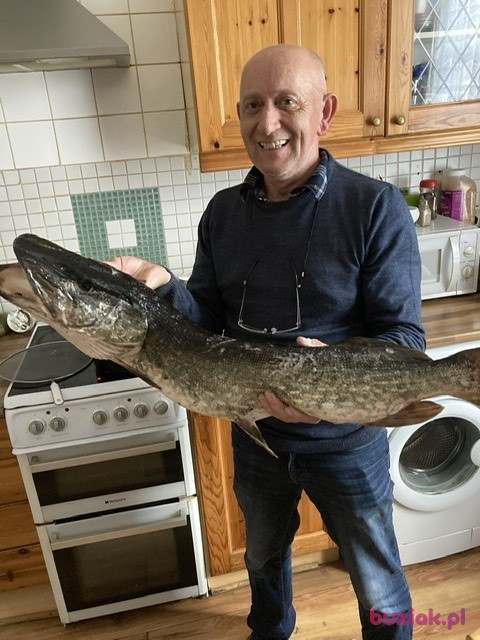 Jozef, Mężczyzna, 62, Otmuchów, Polska, Zdjęcie: 1