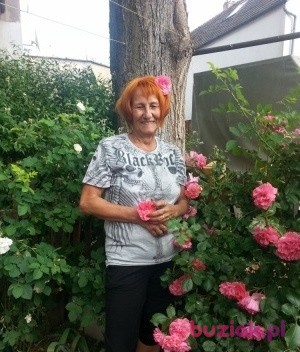 lusi15, Kobieta, 72, Wrocław, Polska, Zdjęcie: 5