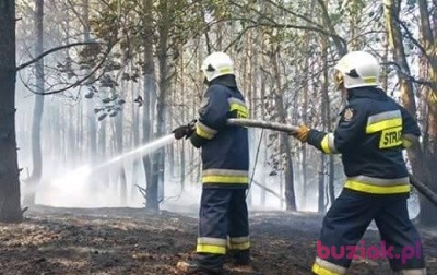Tomek, Mężczyzna, 31, Buk, Polska, Zdjęcie: 2