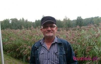 adam, Male, 67, Ostrów Wielkopolski, Polska, Photo: 2
