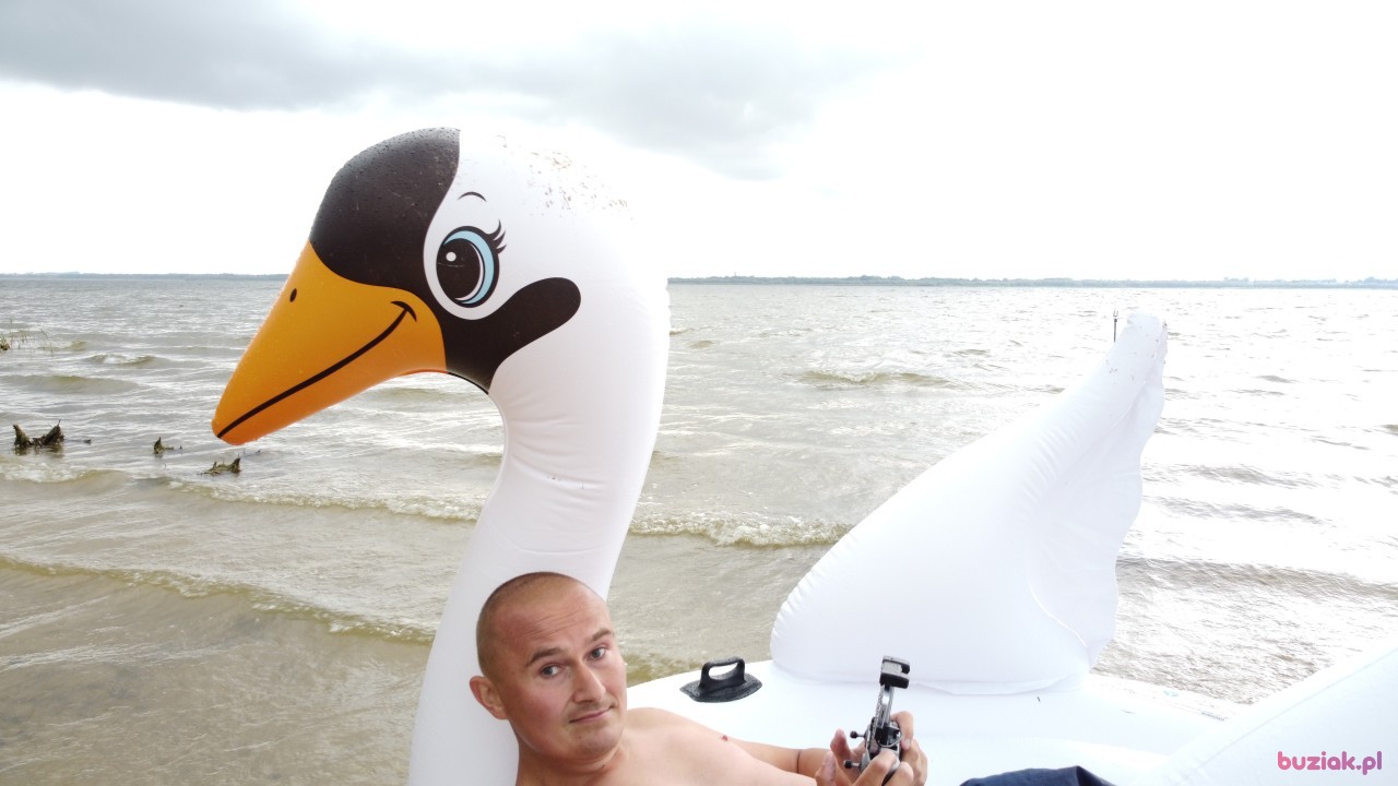 Michał, Mężczyzna, 36, Zgierz, Polska, Zdjęcie: 552