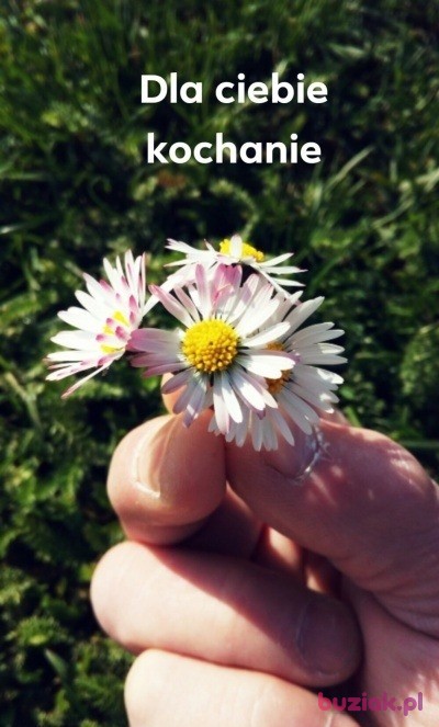 Adam, Male, 57, Gorzów Wielkopolski, Polska, Photo: 6