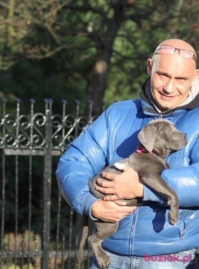 11dario111, Mężczyzna, 53, Niemcy, Zdjęcie: 1