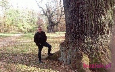 alexkalex, Mężczyzna, 41, Kórnik, Polska: 1