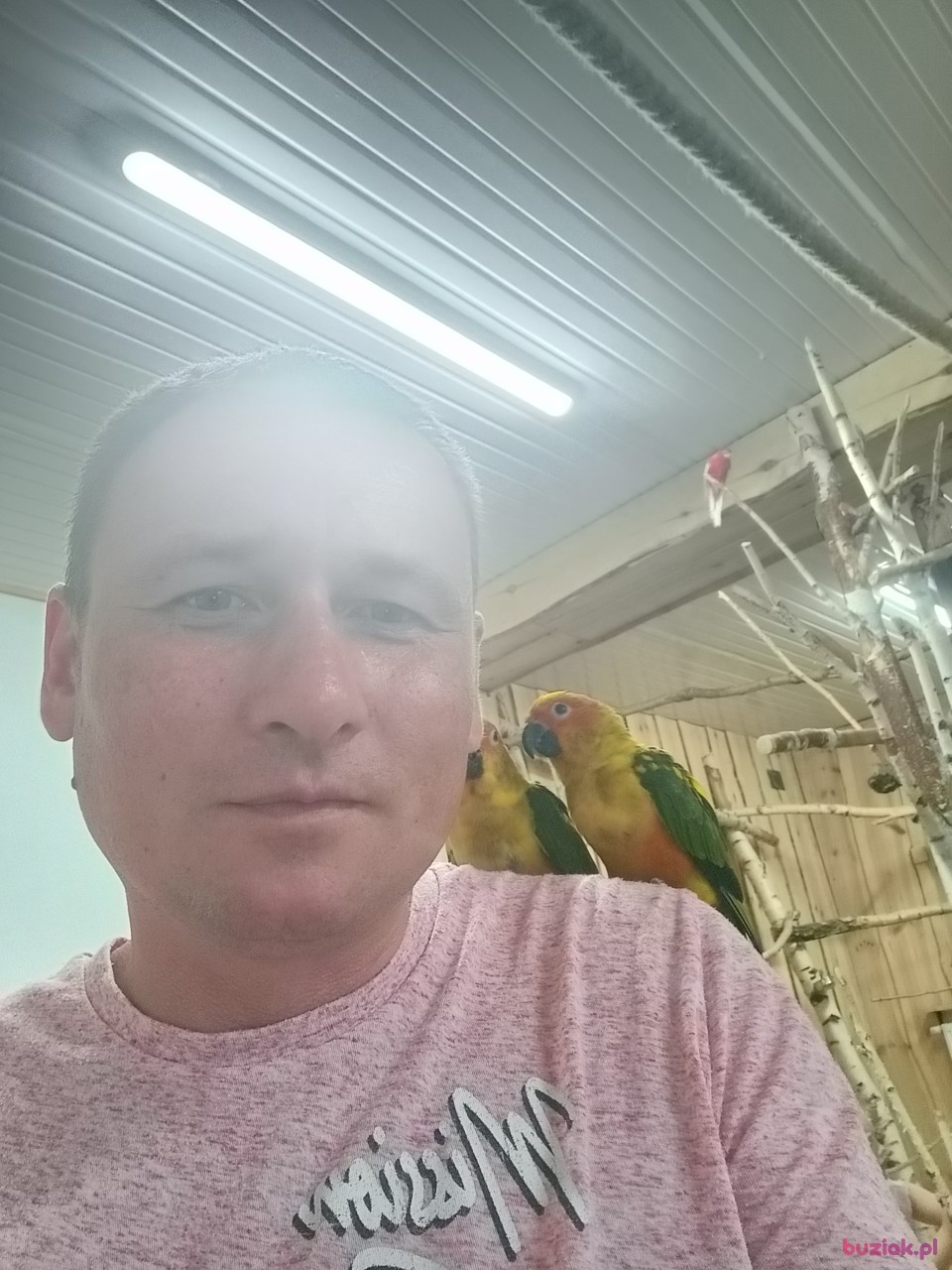Robert, Male, 42, Almere, Holandia, Photo: 4