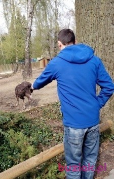 Grzegorz, Male, 42, Nowy Sącz, Polska, Photo: 2