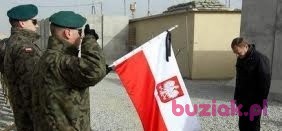 radek, Mężczyzna, 35, Wieluń, Polska, Zdjęcie: 1