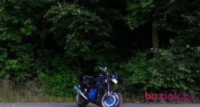 Marcin, Mężczyzna, 41, Szwajcaria, Zdjęcie: 2
