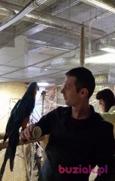 Karol, Male, 34, Rumia, Polska: 1