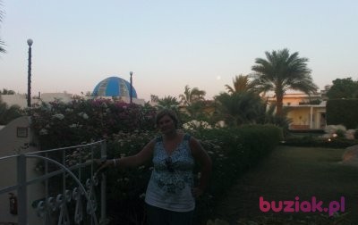 Sylwia, Kobieta, 42, Zielona Góra, Polska, Zdjęcie: 3