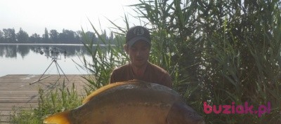 Dariusz, Mężczyzna, 49, Tychy, Polska, Zdjęcie: 1
