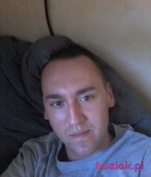 Wojtek, Mężczyzna, 37, Arcen Limburg Province, Holandia, Zdjęcie: 1
