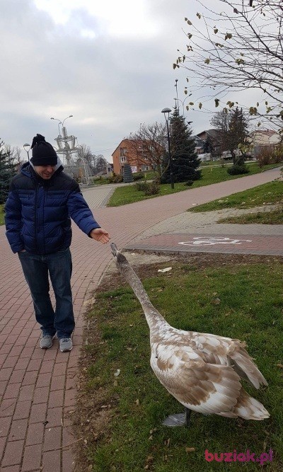 Jarosław, Mężczyzna, 40, Zambrów, Polska, Zdjęcie: 2