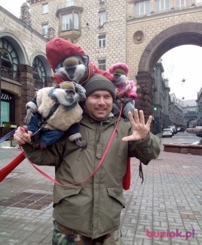 Hubert , Mężczyzna, 37, Nowy Dwór Mazowiecki, Polska, Zdjęcie: 6