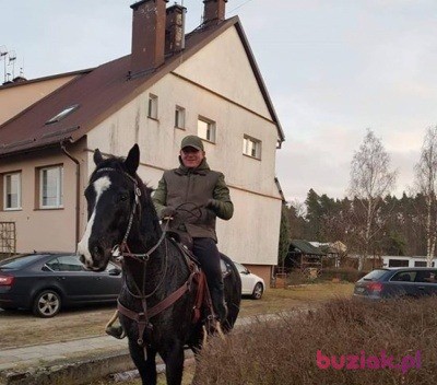 lukasz, Male, 42, Polska, Photo: 2